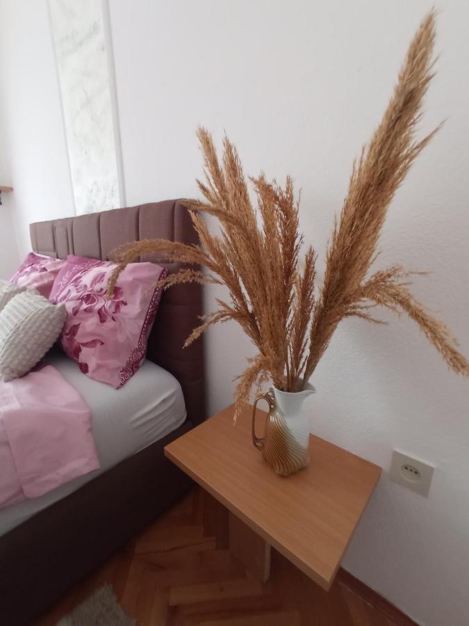 Apartman Maja 트레빈예 외부 사진
